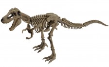 ポーズスケルトン 恐竜シリーズ101 ティラノサウルス